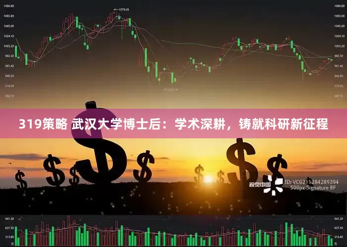 319策略 武汉大学博士后：学术深耕，铸就科研新征程
